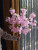 Brown - Simulated Flower Cherry Blossom Branch Wedding Living Room Floor Decoration Flower Soft Decoration Flower By WTB