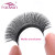 Thickness: 0.07Mm, Curl: D, Length: 10Mm - Fadvan Yy Shape Lashes 2D 0.07 Faux Mink C/D/8-14Mm Natural Soft Brazilian Eyelash Premade Volume Fan Lashes Extension By WTB