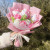 Plum - Kawaii Hello Kitty Cat Dolls With Artificial Flowers Creative Bouquet Christmas Valentine Birthday Graduation Gifts By WTB