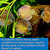 Api Test Strips,For Variety Of Water Parameters,Monitor Aquarium Water Quality And Help Prevent Invisible Water Problems That Can Be Harmful To Fish,Use Weekly ,25-Count (33F)