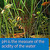 Api Test Strips,For Variety Of Water Parameters,Monitor Aquarium Water Quality And Help Prevent Invisible Water Problems That Can Be Harmful To Fish,Use Weekly ,25-Count (33F)