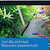Api Test Strips,For Variety Of Water Parameters,Monitor Aquarium Water Quality And Help Prevent Invisible Water Problems That Can Be Harmful To Fish,Use Weekly ,25-Count (33F)