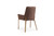 Modrest Robin Modern Brown Brass Dining Chair By Vig Vgvcb8366 Brn Dc