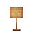 19.25" In Faux Suede Leopard Print Metal Table Lamp HBL2414 By Ore