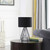 17.5" In Industrial Farm Metal Cage Black Table Lamp HBL2535 By Ore