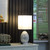 20"In Niels Silver Mirror Glass/Metal Table Lamp With Nightlight HBL2543 By Ore