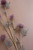 Artificial Flower Spray - Purple - (Pack Of 6) CHAL1011 By Kalalou