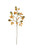 Botanica #3504 - (Pack Of 6) CLX3504 By Kalalou