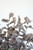 Botanica #3539 - (Pack Of 6) CLX3539 By Kalalou