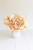 Botanica 3552 Pack Of 6 Clx3552 By Kalalou