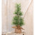 City Holiday Pine Tree 18 Fxl7073 By Cwi Gifts