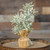 Frosty Herb Tree 10 Fxra1279 By Cwi Gifts