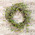 Cwi Twig Leaf Sprite Wreath 24 Fbr2128