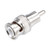 Wintron Bnc Male To Rca Male Winbncmrcam