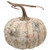Cwi White Birch Pumpkin 6 Gla8454