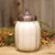 Pumpkin Jar Candle Pumpkin Chata 26 Oz W23143 By CWI Gifts