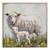 Sheep Lamb Distressed Block G105480 By Cwi Gifts