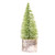 Iced Foxtail Pine Tree 6 Fxbr6205 By Cwi Gifts