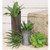 Tropical Agave Stem FT27203 By CWI Gifts