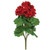 Cwi F2518840 Geranium Bush 17