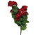 Cwi F2518850 Geranium Vine Bush