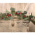 Snowy Holiday Red Berry & Bell Garland FT28031 By CWI Gifts