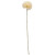 Cwi Gifts F18160 Cream Pompom Spray
