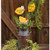 Lemon Plant Poke 3 Assorted G35807 By CWI Gifts