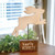 Hippity Hoppity Bunny Pedestal G60422 By CWI Gifts