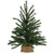 Cwi Gifts F02512 Pine Tree With Burlap Base 2Ft