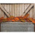 Fall Magnolia Pine & Podka Garland FT29911 By CWI Gifts