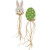 Cwi Gifts G35879 Easter Egg Or Bunny Plant Poke 2 Assorted Pack Of 2
