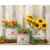 3/Set Farm Fresh Pumpkins Oval Buckets GMFF250093S By CWI Gifts
