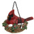 Resin Cardinal In Nest 2 Assorted G2650230 By CWI Gifts