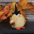 Stuffed Owl In Witch Hat W/Candy Corn G91099 By CWI Gifts