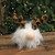 Leopard Gnome Ball GADC4382 By CWI Gifts