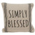 Cwi Gifts G15557 Simply Blessed Striped Natural Pillow