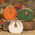 Thankful Grateful Blessings Chunky Pumpkin 3 Assorted G36520 By CWI Gifts