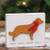 Here Comes Santa Paws Dog Block G36603 By CWI Gifts