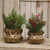 Furry Jar W/Reindeer Charm Medium GQX19490 By CWI Gifts
