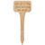 Pay Attention To Me House Plant Poke 4 Assorted G37750 By CWI Gifts