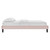 Modway Reign Full Performance Velvet Platform Bed Frame MOD-6265-PNK