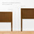 Modway Alana Queen Wood Platform Bed With Angular Frame MOD-6378-WAL