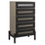 Modway Merritt Chest Oak Mod 6683 Oak