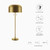 Modway Avenue Floor Lamp - Satin Brass EEI-5663-SBR