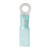 Ancor 16 14 8 Ring Terminal Heat Shrink Blue 25 Pack Anc311225