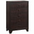 Home 5 Drawers Chest Dresser Storage Cabinet HW58987 By CW