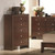 Home 5 Drawers Storage Dresser Cabinet Organizer Chest HW58992 By CW