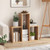 Convex Bookshelf 3-Shelf Open Bookcase Room Organizer With Anti-Toppling Device CB10613-A By CW