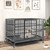 48 Inch Foldable Heavy-Duty Metal Dog Cage With Lockable Rolling Casters And Tray-48 Inches PU10040BK By CW